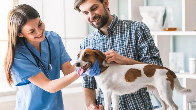 Pets and Pet Care